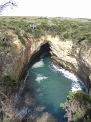 Blowhole